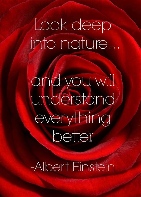 Garden Quotes: Best Gardening Quotes by Famous People | INSTALL-IT-DIRECT