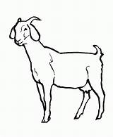 Goat Printables Coloring Pages  Home sketch template