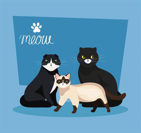 group of cats animals in background blue 4834446 Vector Art at Vecteezy