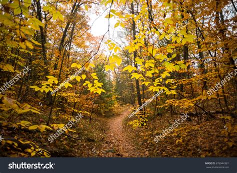 Fall Foliage New England Stock Photo 676944361 | Shutterstock