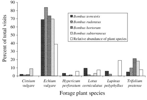 Percentages of forage visits made by four European bumblebee species in ...