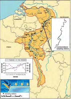 13 The Meuse river basin map of the International Meuse Commission with... | Download Scientific ...