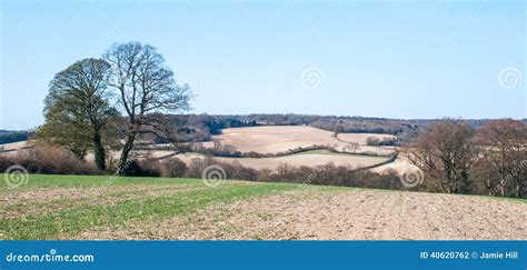 Buckinghamshire Countryside Stock Photo - Image of countryside, high ...