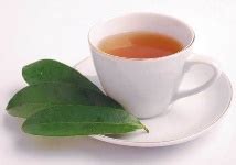 Soursop Leaves Tea Recipe | Soursop Leaves Health Benefits