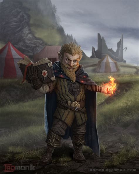 [Art] Gnome wizard Character Art : r/DnD