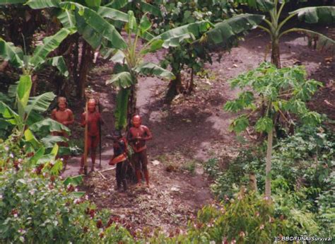 Uncontacted Indians of Brazil | Amazon rainforest tribes, Amazon tribe, Indian tribes