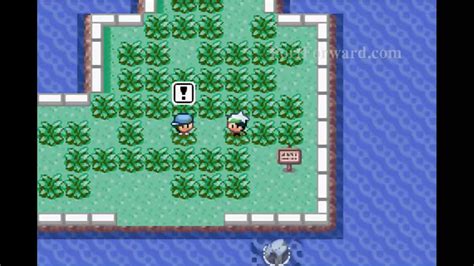 Pokemon Emerald Walkthrough Road to the Third Gym - Route 110