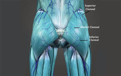 Conditions - Solutions Sports and Spine