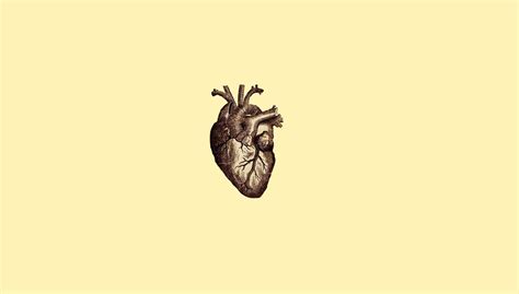 human heart illustration digital art #minimalism #simple simple ...