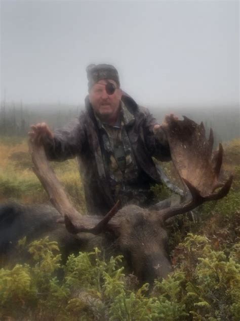 Newfoundland Moose | Hunt Talk