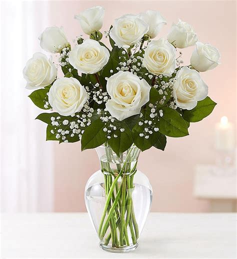 Rose Elegance™ Premium Long Stem White Roses | 1800Flowers.com - 90109