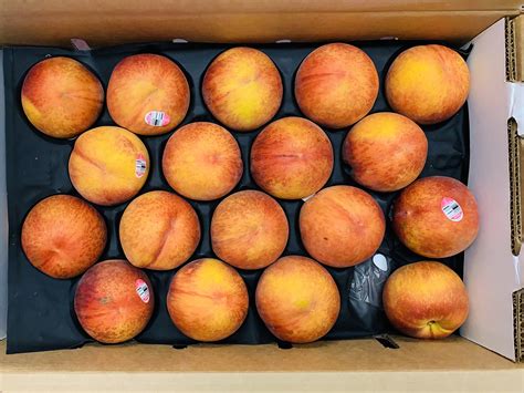 Yellow Peaches | Varieties