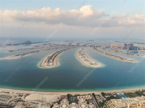 Aerial view of The Palm Jumeirah, Dubai, UAE - Stock Image - F038/9695 ...