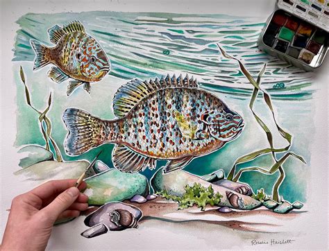 Pumpkinseed Sunfish Watercolor Art Print | Etsy