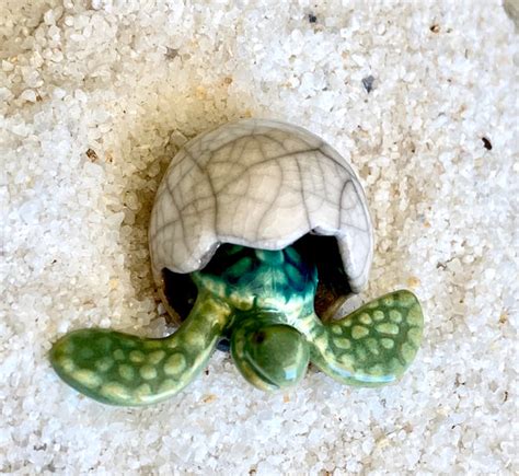 Hatching Turtle Egg – Sea Things Ventura