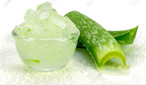 G-TECHNOLOGY Aloe Vera Pulp, Packaging Type : Drum - G-TECHNOLOGY, Surat, Gujarat