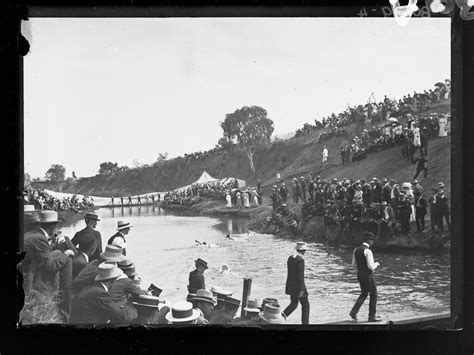 Swimming Race, River Torrens | History Trust