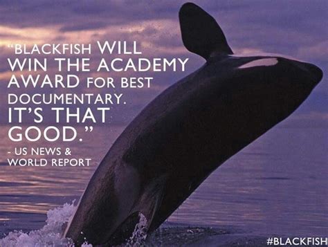 Damn Skippy! | Blackfish, Documentaries, Best documentaries