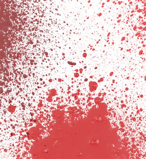 Blood splatter free Photoshop brush set | Creative Nerds