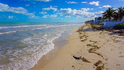 Progreso Beach: Soak in The Sun Near Merida