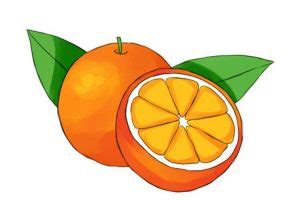 Orange Drawing: Easy, Slice, Simple and Step by Step