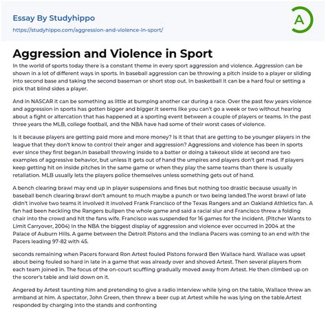 Aggression and Violence in Sport Essay Example | StudyHippo.com