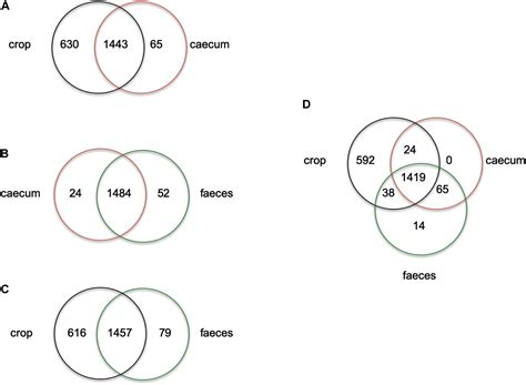 Frontiers | Isolation and Comparative Genomic Analysis of Reuterin ...