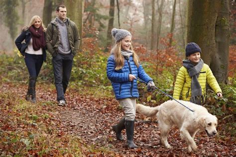 family walking dog - Mill House Cottages