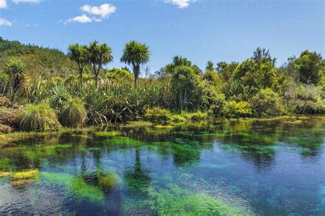 Te Waikoropupu Springs (Pupu Springs), Spring sacred to the Maoris ...