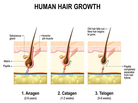 Am I Losing Hair? 3 Signs Ladies Need To Look Out For