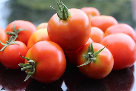 tomato, vegetable, ripe Wallpaper, HD Food 4K Wallpapers, Images and Background - Wallpapers Den