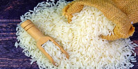 Rice - Our Staple Food - Assignment Point