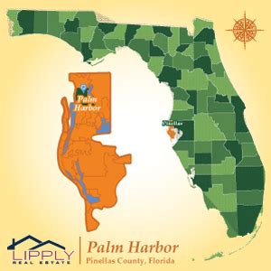 Palm Harbor Fl Zip Code Map - Galina Christiane