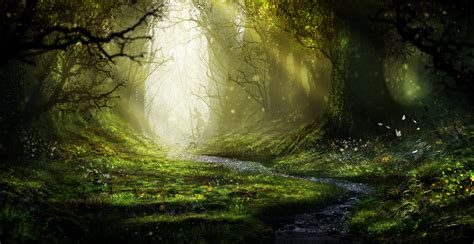 Enchanted Forest by Aeflus on DeviantArt