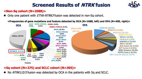 NTRK Gene Fusions are Extremely Rare in Japanese Patients with Lung ...