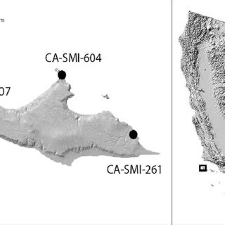 Map of San Miguel Island including the approximate locations of... | Download Scientific Diagram