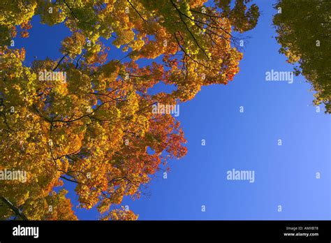 New Hampshire, Fall Foliage Stock Photo - Alamy