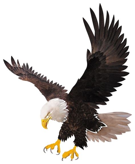 Classic Bald Eagle Wall Art - Contemporary - Metal Wall Art - by Next ...