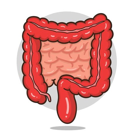 Premium Vector | Illustration of cartoon intestines organ good for ...