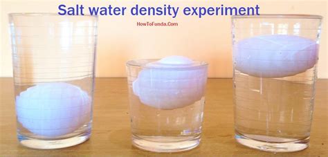 How to perform Water Density Science Experiment – DIY - Science ...