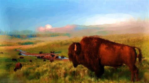 Bison Herd by jimborg1 on DeviantArt