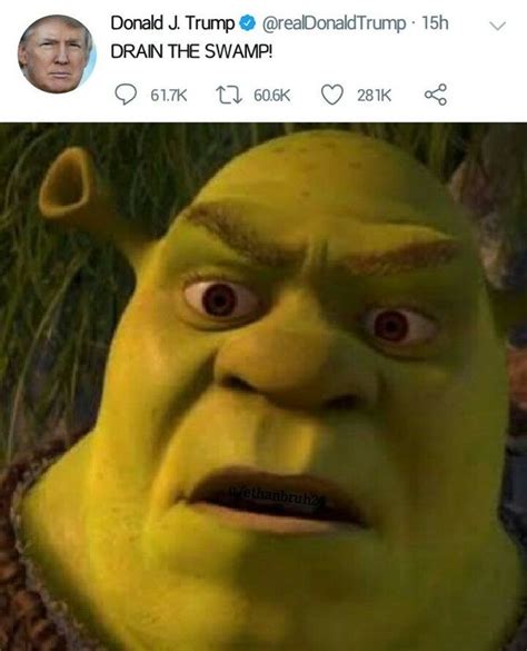 Shrek meme - loxareviews