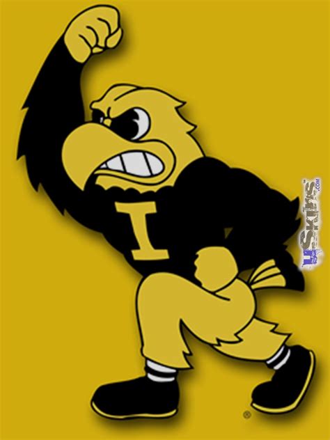 iPad Skin - Iowa Hawkeyes Herky on Gold (fits iPad2 and iPad3)