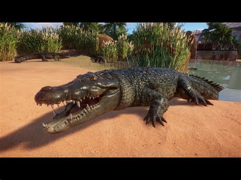 Planet Zoo Saltwater Crocodile Hunting -The Mexican Conservation Park - YouTube