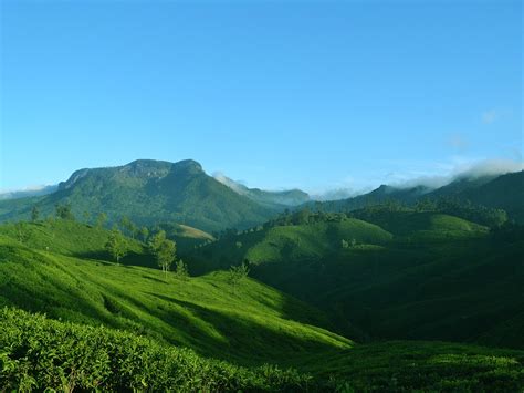 Western Ghats Luxury Trekking Tour (Kerala, India)