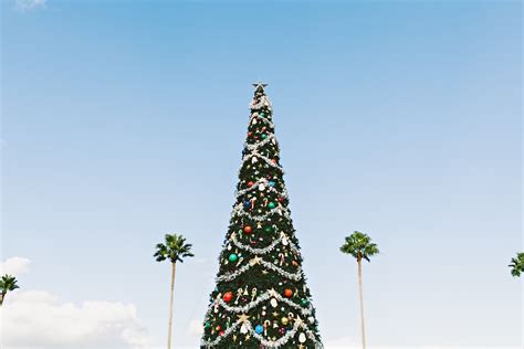 Christmas In Las Vegas: All Your Favorite Winter Activities - She Strayed