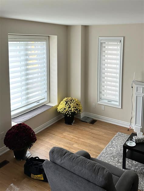 Zebra Blinds - Custom Window Shades