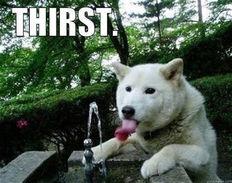 thirsty dog - quickmeme