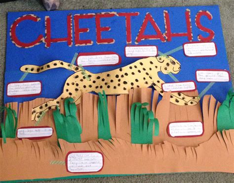 Cheetah Project Poster | Science fair projects, Cheetah crafts ...