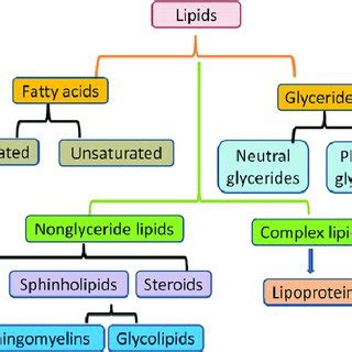 6 Classification of lipids. | Download Scientific Diagram